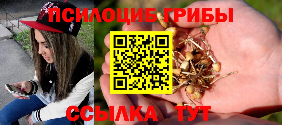 Гашиш Муравленко