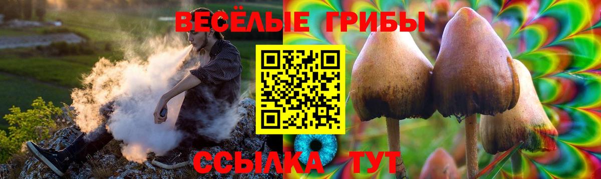 Галлюциногенные грибы Psilocybe Муравленко