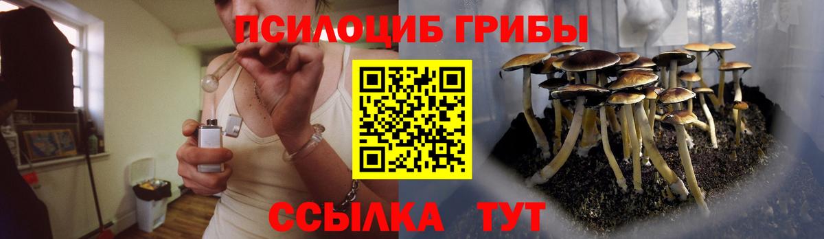 Муравленко  Псилоцибиновые грибы GOLDEN TEACHER  Вход с VPN  Галлюциногенные грибы MAGIC MUSHROOMS 